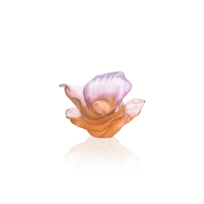 Zdjęcie Wyjątkowy kwiat różowej kalii – firma Daum