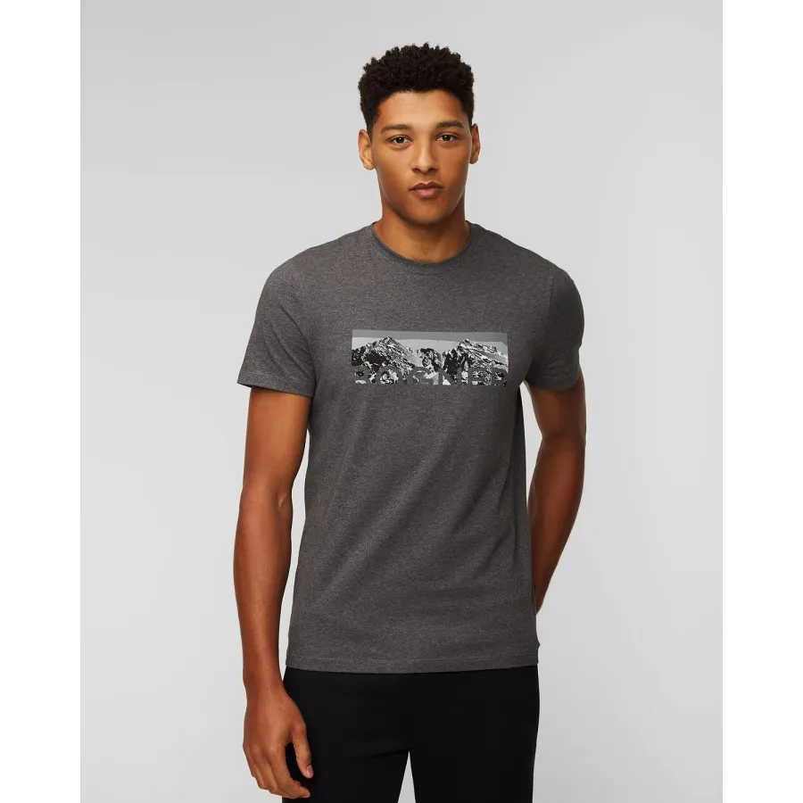 obrazek 1 Szary T-shirt Męski Bogner Roc BOGNER