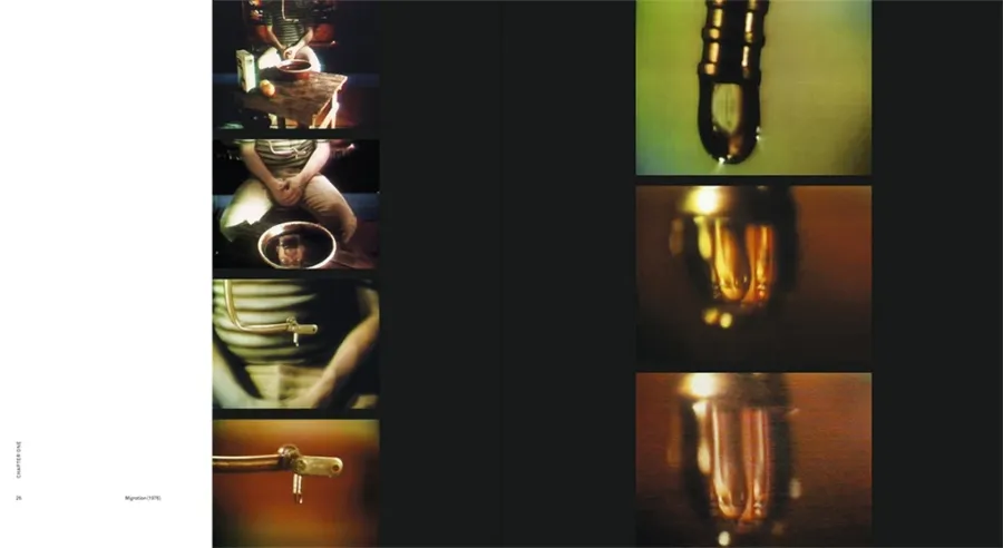 obrazek 4 Książka Bill Viola - Thames & Hudson