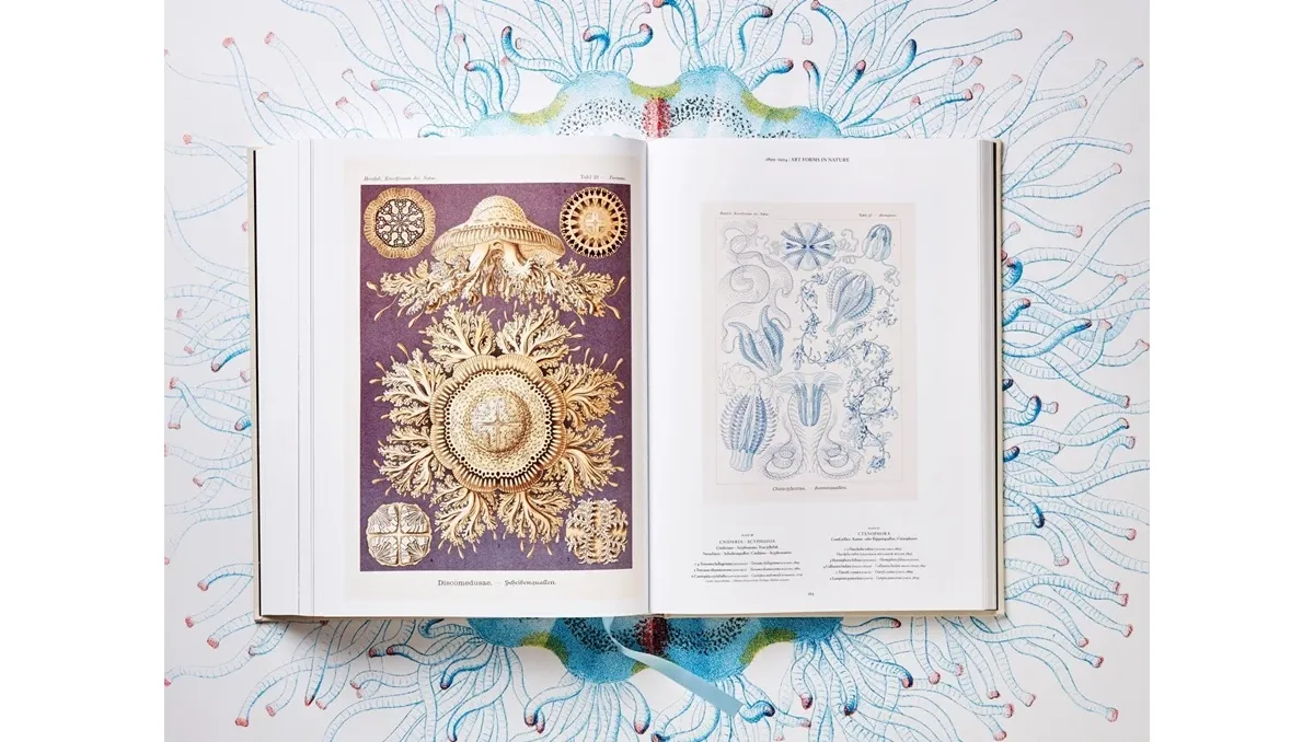 The Art and Science of Ernst Haeckel - Taschen book