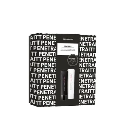 Zdjęcie Sebastian Professional Penetraitt Beauty-Geschenkbox für strapaziertes Haar Zestaw do pielęgnacji włosów 1 szt.