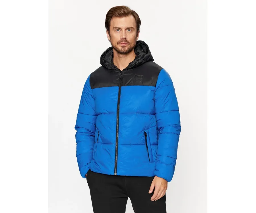 obrazek 1 4F Kurtka zimowa 4FAW23TDJAM243 Niebieski Regular Fit