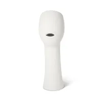 Picture Designer ceramic vase for stylish interiors or gardens