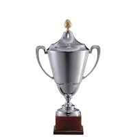 Picture Occasional sports cup in silver with a wooden base