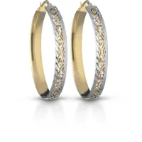 Picture Stylish round large earrings for women