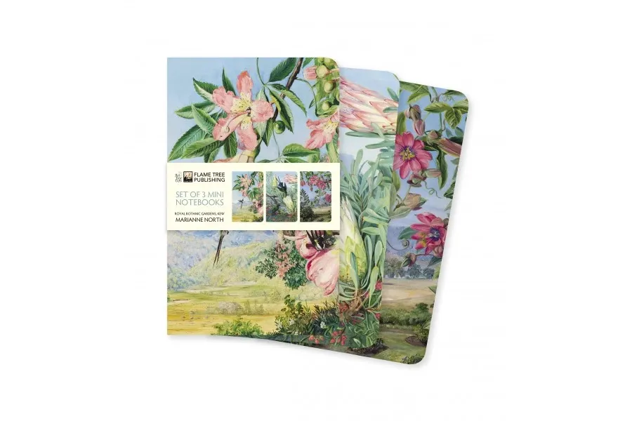obrazek 1 Stylowa kolekcja mini notatników Marianne North Kew Gardens - Flame Tree Publishing