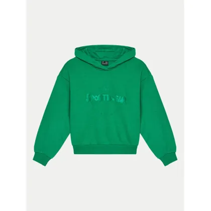 Zdjęcie 4F Bluza 4FJWAW24TSWSF1213 Zielony Regular Fit