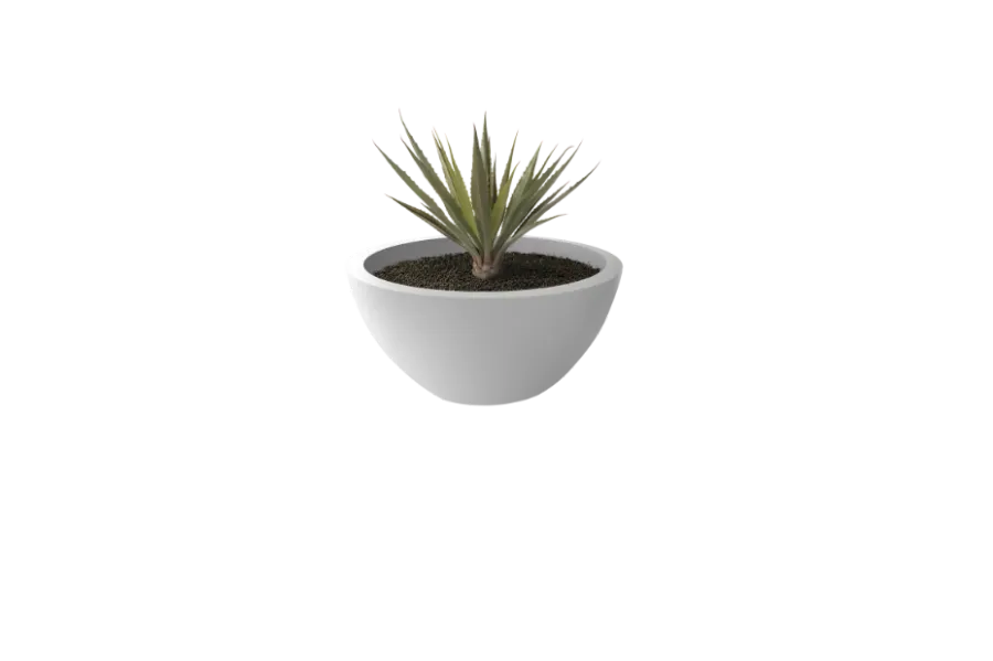 modern style vase
