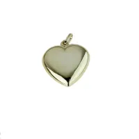 Picture Elegant shiny heart-shaped pendant