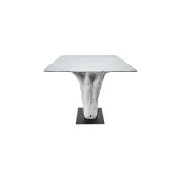 Picture A prestigious table with an exclusive black base - Karpa