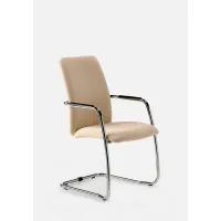 Picture Fantastic Eden chair for the office or waiting room